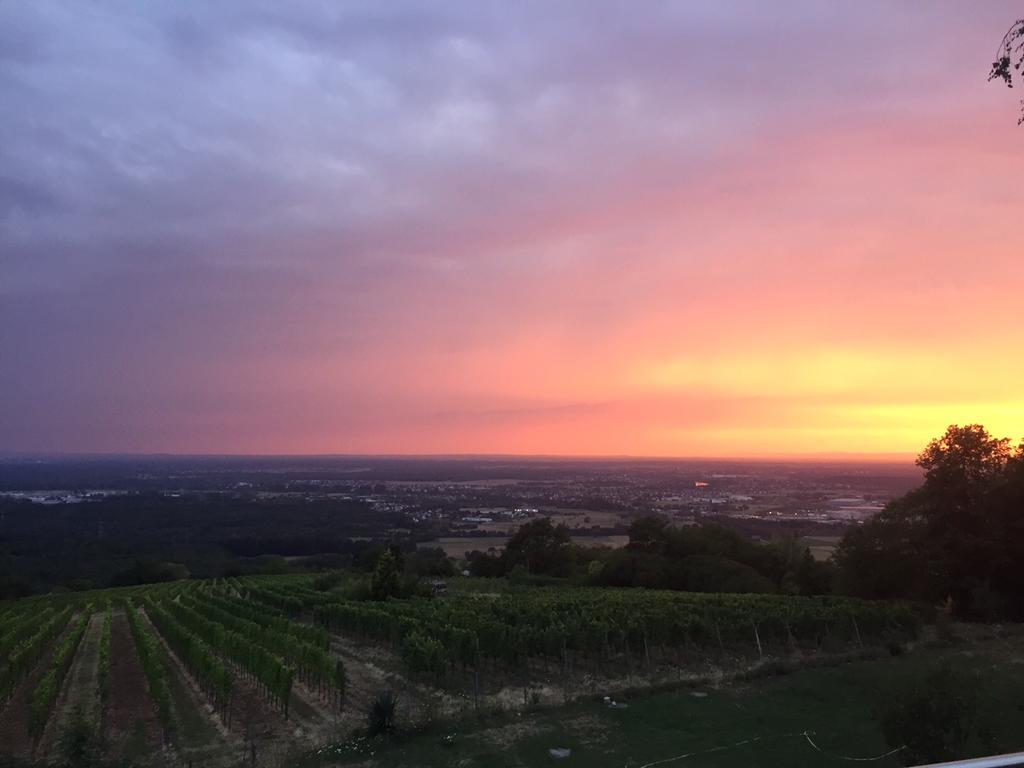 Schoene Aussicht Alzenau Bagian luar foto